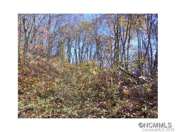 Property image 4 at Lot 334 Living Good Lane, Waynesville, NC 28786