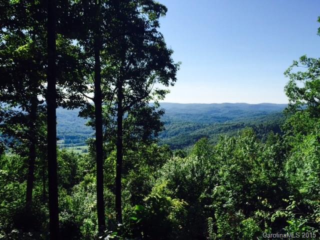 Property image 4 at 15b Reserve Road, Pisgah Forest, NC 28768