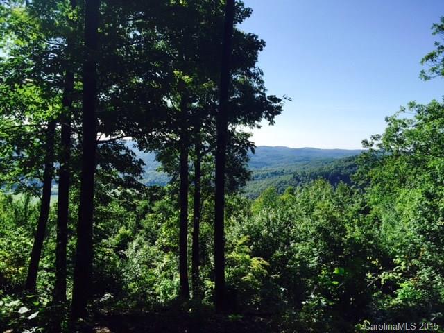 Property image 5 at 15b Reserve Road, Pisgah Forest, NC 28768