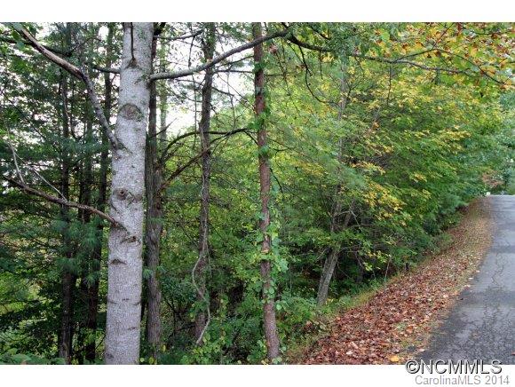 Property image 4 at 40 High Country Road, Weaverville, NC 28787