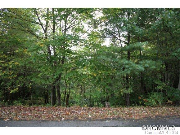 Property image 5 at 40 High Country Road, Weaverville, NC 28787