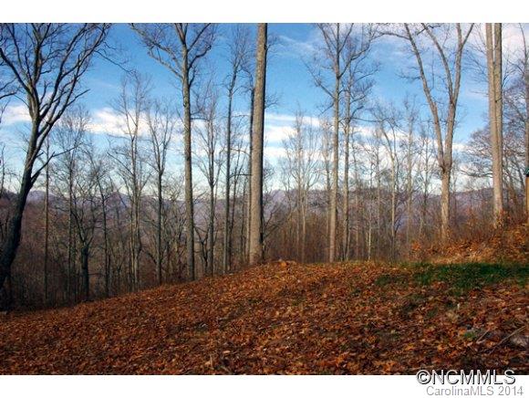 Property image 2 at 55 Bailey Rd, Swannanoa, NC 28778