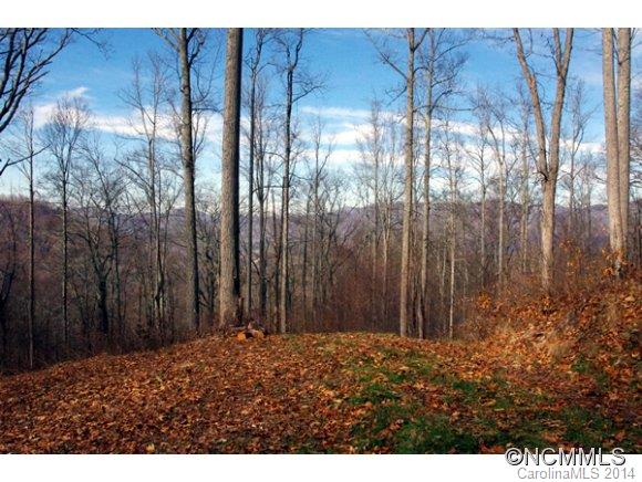 Property image 3 at 55 Bailey Rd, Swannanoa, NC 28778