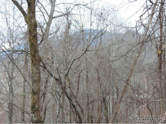 Property image 2 at Lot 25 Quail Mountain Lane, Waynesville, NC 28786