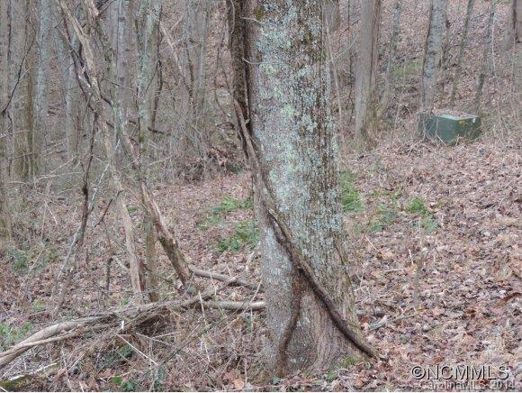 Property image 3 at Lot 25 Quail Mountain Lane, Waynesville, NC 28786