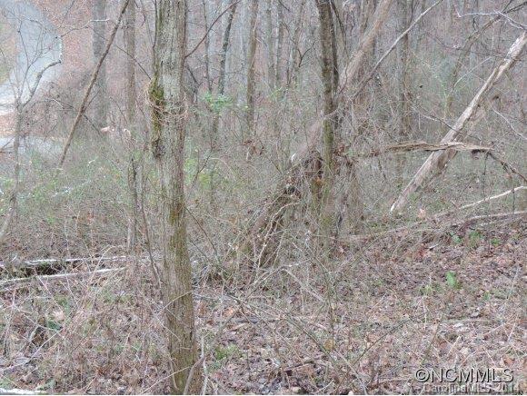 Property image 4 at Lot 25 Quail Mountain Lane, Waynesville, NC 28786