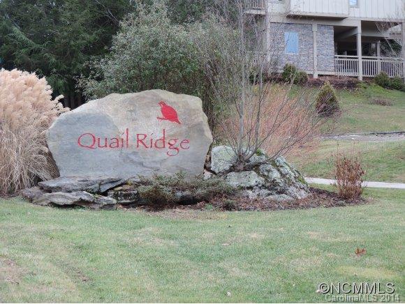 Property image 5 at Lot 25 Quail Mountain Lane, Waynesville, NC 28786