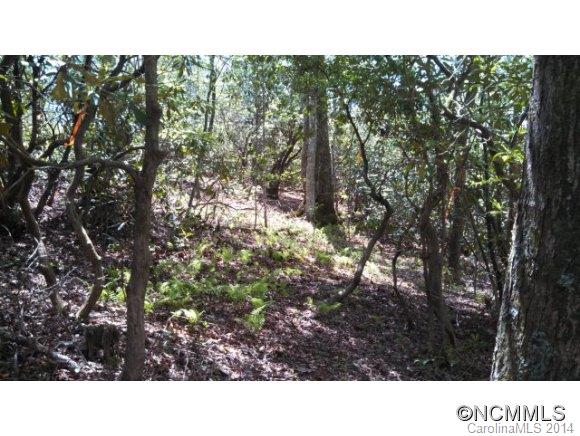 Property image 3 at 18 19 Crooked Creek Estates Drive, Old Fort, NC 28762