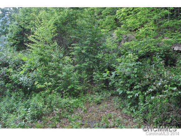 Property image 3 at 00 Triple Creek Drive, Clyde, NC 28721