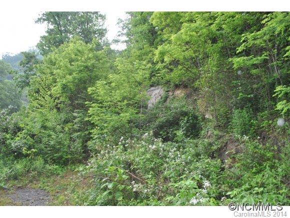 Property image 4 at 00 Triple Creek Drive, Clyde, NC 28721