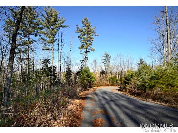 Property image 2 at 44 Timber Moss Drive, Asheville, NC 28804