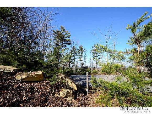 Property image 3 at 65 Timber Moss Drive, Asheville, NC 28804