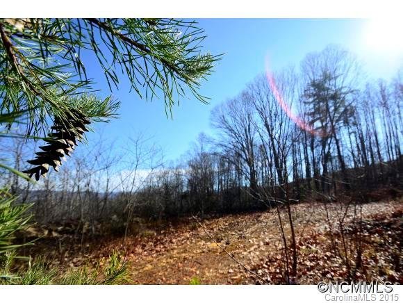 Property image 4 at 65 Timber Moss Drive, Asheville, NC 28804