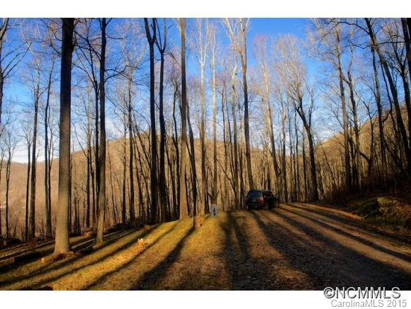 Property image 2 at 58 Castanea Mountain Drive, Asheville, NC 28803