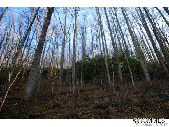 Property image 3 at 58 Castanea Mountain Drive, Asheville, NC 28803