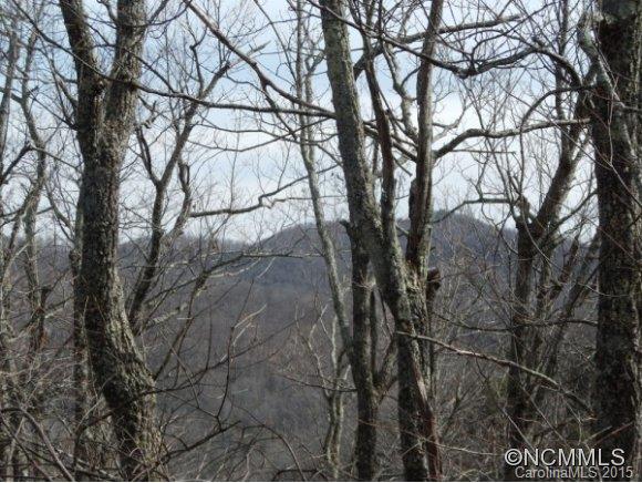 Property image 3 at 81 Davey Crockett, Fairview, NC 28730