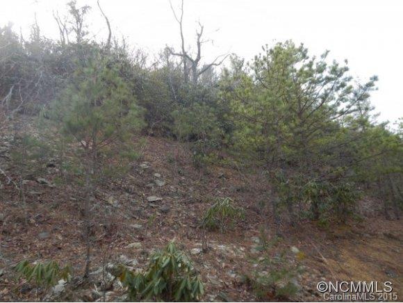 Property image 5 at 81 Davey Crockett, Fairview, NC 28730