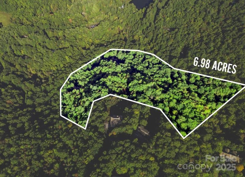 Property image 2 of Tbd Rock Face Road in Eagle Lake, Brevard, NC 28712