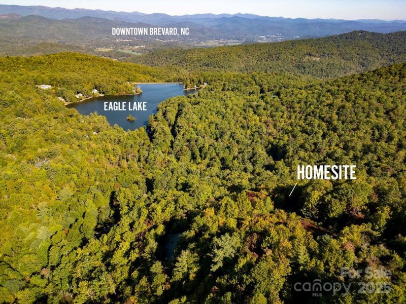 Property image 5 of Tbd Rock Face Road in Eagle Lake, Brevard, NC 28712