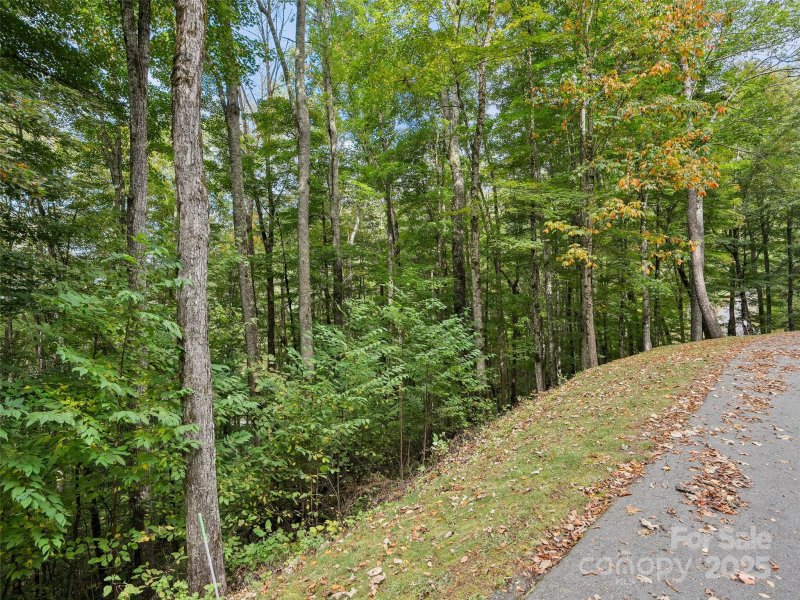 Property image 2 of 0 Macallan Drive in Highland Forest, Waynesville, NC 28786