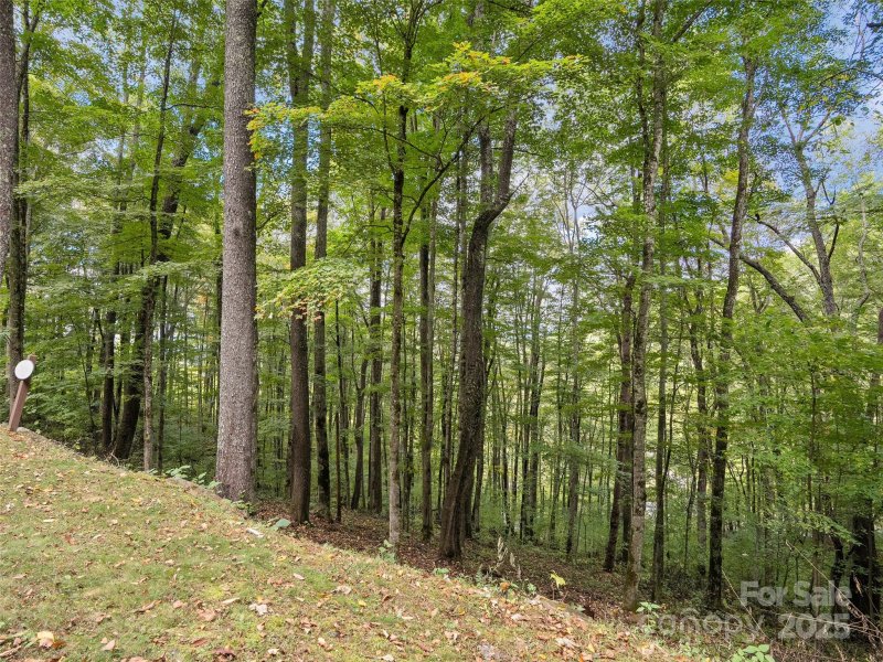 Property image 4 of 0 Macallan Drive in Highland Forest, Waynesville, NC 28786