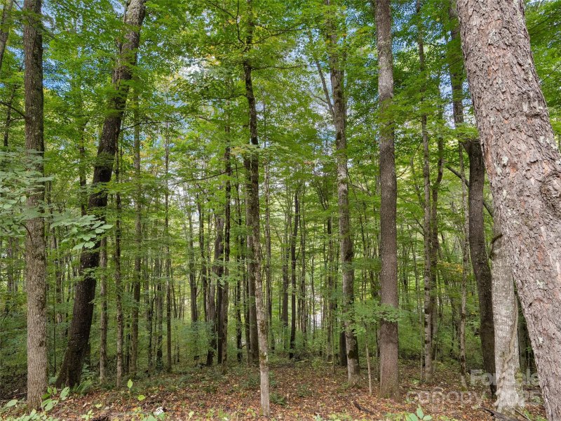 Property image 5 of 0 Macallan Drive in Highland Forest, Waynesville, NC 28786