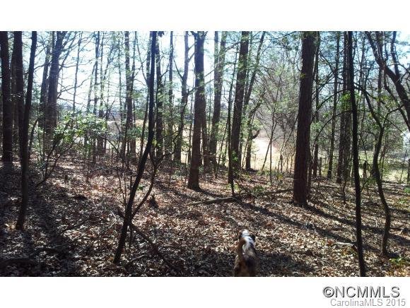 Property image 4 at Lot 9 Classic Oaks Circle, Hendersonville, NC 28792