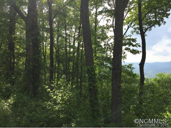 Property image 2 at 4a Cedar Mountain Road Casta Way, Asheville, NC 28803