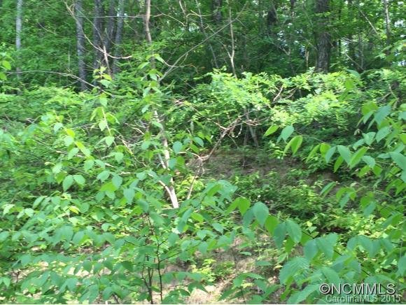 Property image 4 at 4a Cedar Mountain Road Casta Way, Asheville, NC 28803