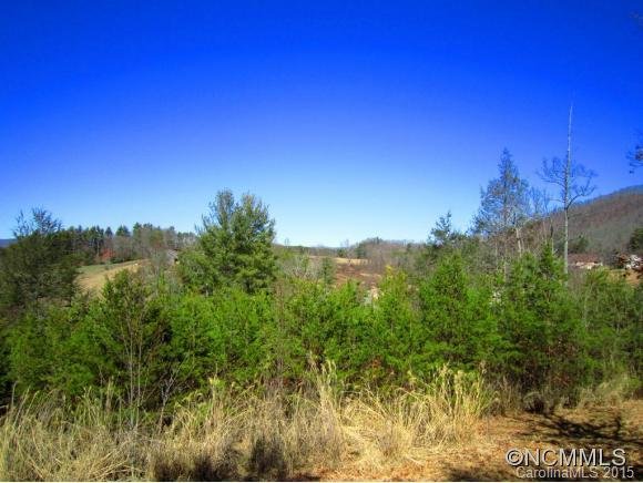 Property image 4 at Lot 9 Ivy Crest Lane, Weaverville, NC 28787