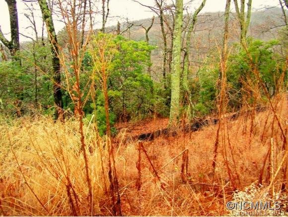 Property image 3 at Lot 255 Grey Rock Parkway, Lake Lure, NC 28746