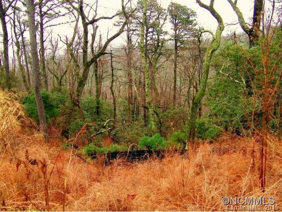 Property image 5 at Lot 255 Grey Rock Parkway, Lake Lure, NC 28746