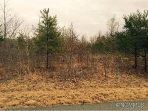 Property image 4 at Lot 39 Lake Haven Drive Drive, Lake Lure, NC 28746