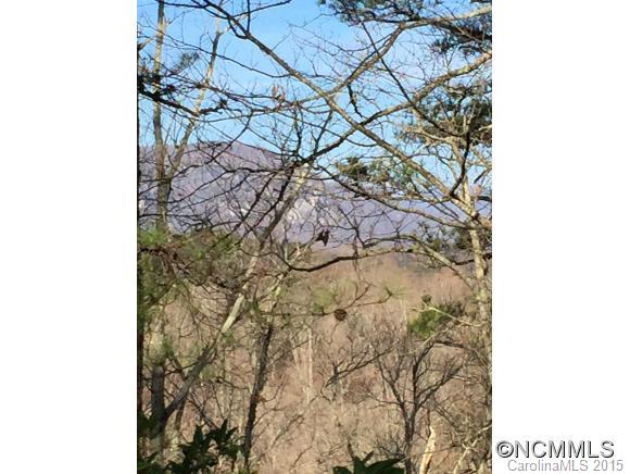 Property image 2 at Lot 8 Silver Tree Lane, Lake Lure, NC 28746