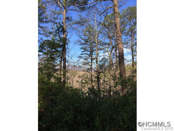 Property image 4 at Lot 8 Silver Tree Lane, Lake Lure, NC 28746