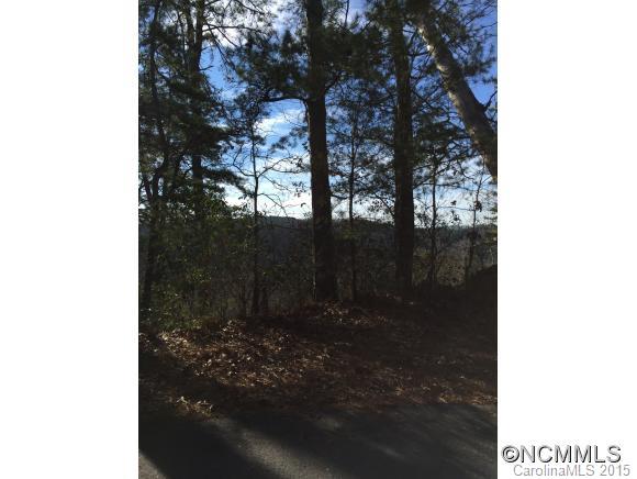 Property image 5 at Lot 8 Silver Tree Lane, Lake Lure, NC 28746