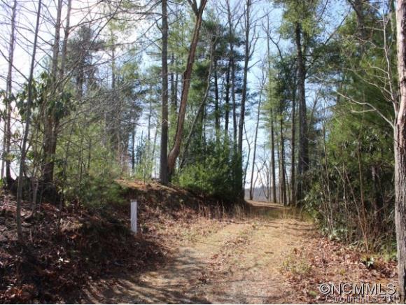 Property image 5 at Lot 21 Big Raven Lane, Saluda, NC 28773