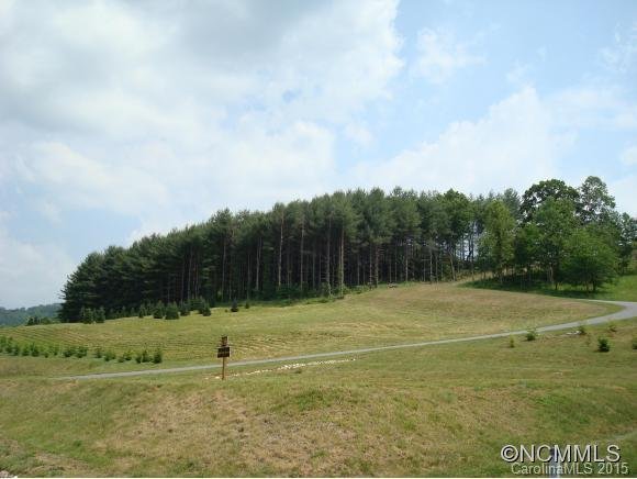 Property image 4 at 18 N Sundrops Trail Trail, Cullowhee, NC 28723