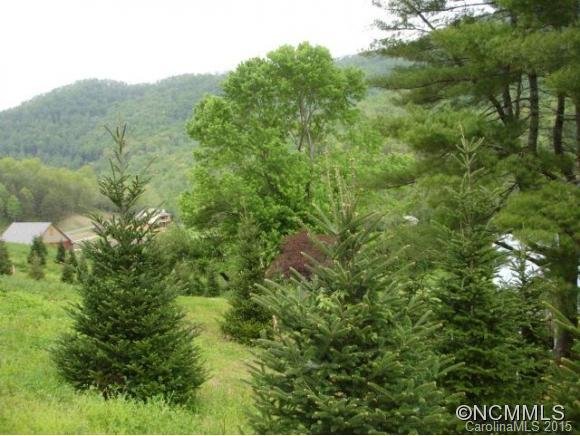 Property image 5 at 27 S Sundrops Trail Trail, Cullowhee, NC 28723