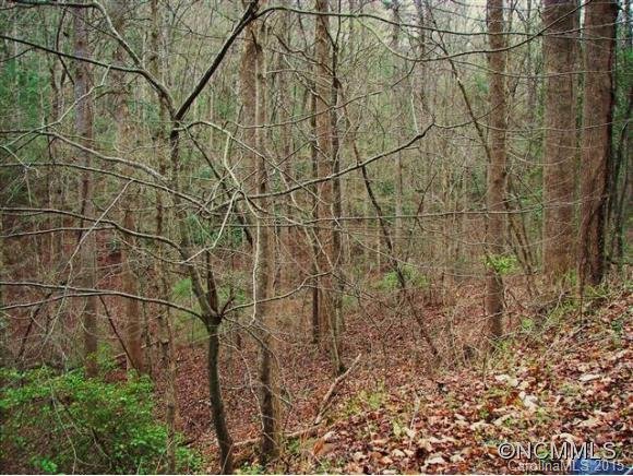 Property image 3 at , Lake Lure, NC 28746
