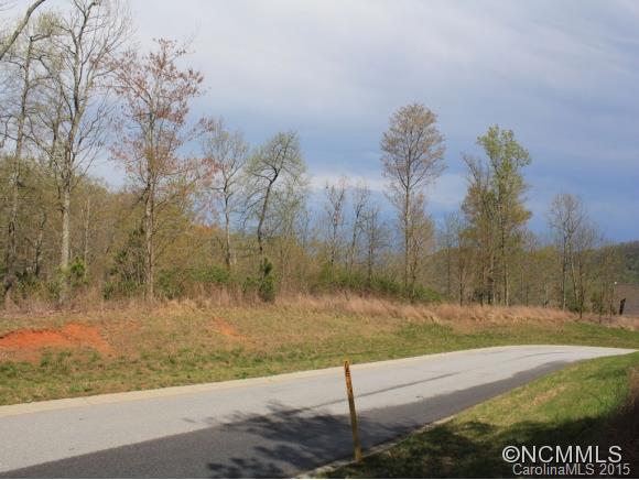 Property image 2 at Lot 122 Stonefly Drive, Mills River, NC 28759