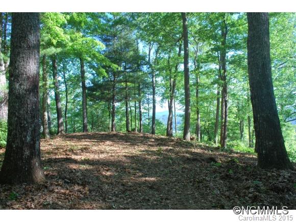 Property image 3 at Lot 32 Reserve Road, Pisgah Forest, NC 28768