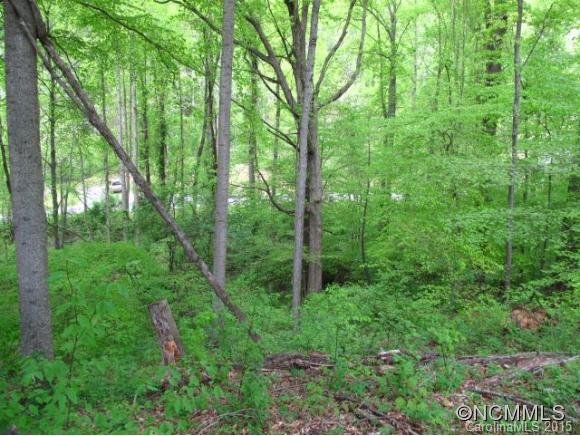 Property image 5 at 43 Bamboo Trial, Candler, NC 28715