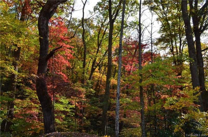 Property image 3 at 41 Christmas Tree Lane, Candler, NC 28715