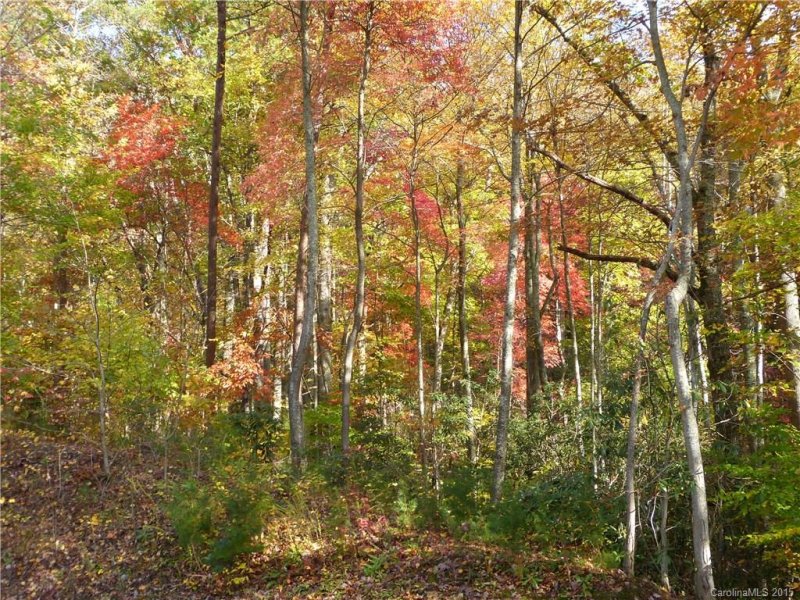 Property image 4 at 41 Christmas Tree Lane, Candler, NC 28715