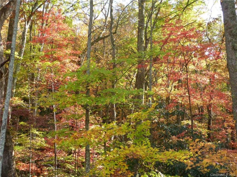 Property image 5 at 41 Christmas Tree Lane, Candler, NC 28715