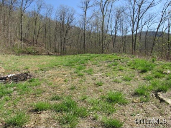 Property image 3 at 68 Brambleside Lane, Sylva, NC 28779