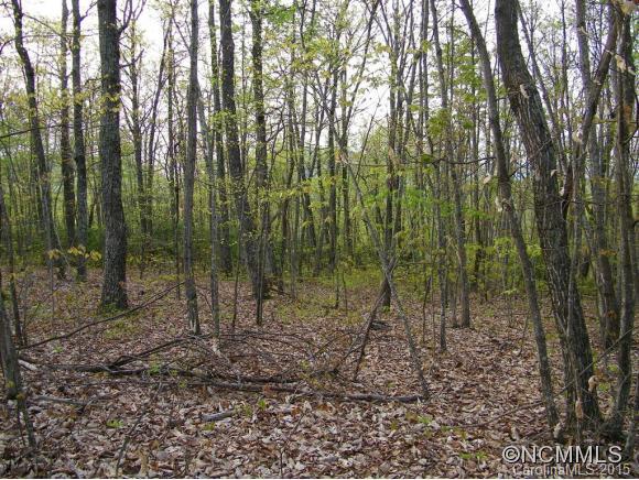 Property image 2 at Lot 124 Horse Pasture Ridge, Lake Lure, NC 28746