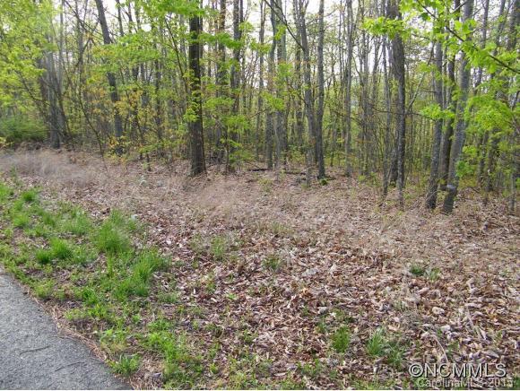 Property image 3 at Lot 124 Horse Pasture Ridge, Lake Lure, NC 28746