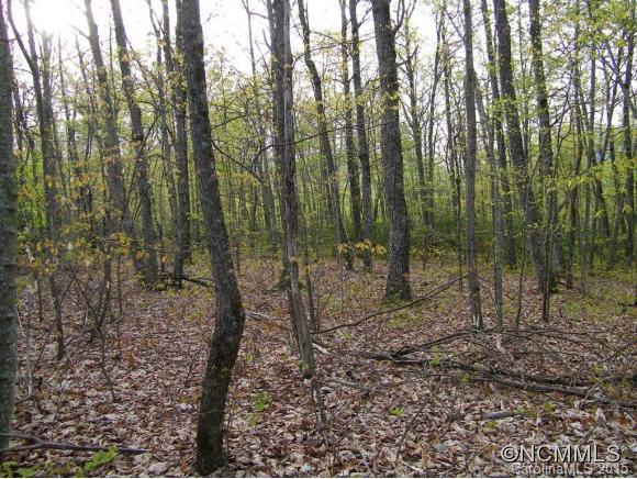 Property image 4 at Lot 124 Horse Pasture Ridge, Lake Lure, NC 28746